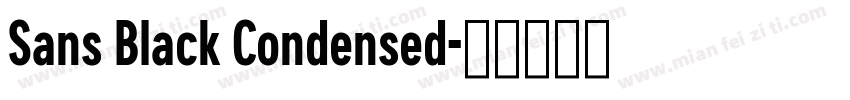 Sans Black Condensed字体转换